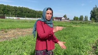 Как огород спасать от засухи.