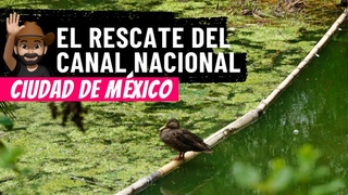 El rescate del Canal Nacional de Ciudad de Mxico