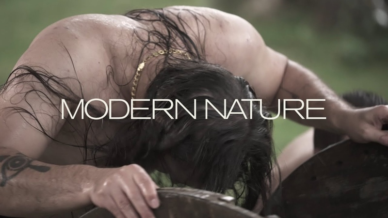 Sunstain Modern Nature ( Official