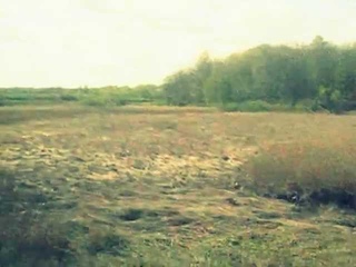 покатушка в Аркадак .wmv