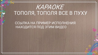 Тополя, тополя все в пуху . Караоке дворовой песни от гр. Виртуальные братаны
