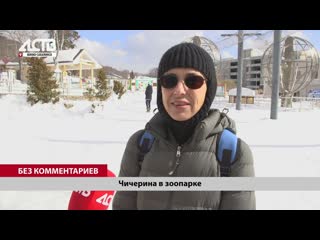 Юлия Чичерина на Сахалине - что за тайная песня про остров и какие животные удивили певицу