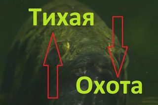Диалоги о рыбалке- 7 -  Тихая охота