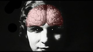 Edgar Allan Poets - Blah! (Official Video)