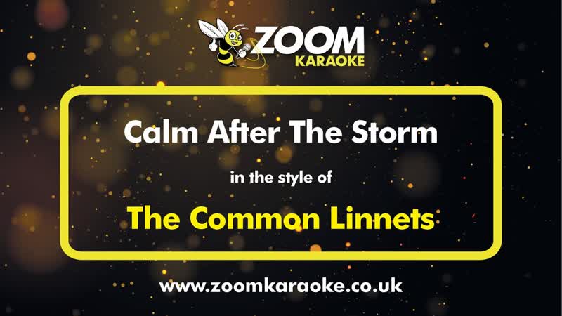 The Common Linnets Calm After The Storm Karaoke Version from Zoom