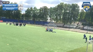 Кубок 2013 Динамо белые - Фаворит