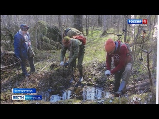 Костромские поисковики готовят восемь экспедиций по местам боев