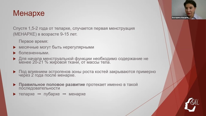 Анатомия женской половой