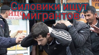 Силовики ищут мигрантов на Апраксином дворе