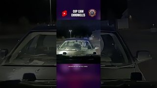 Criminals Playing Cat & Mouse With The Police!   #lawandcrimenetwork #copcamchronicles #lawandcrime