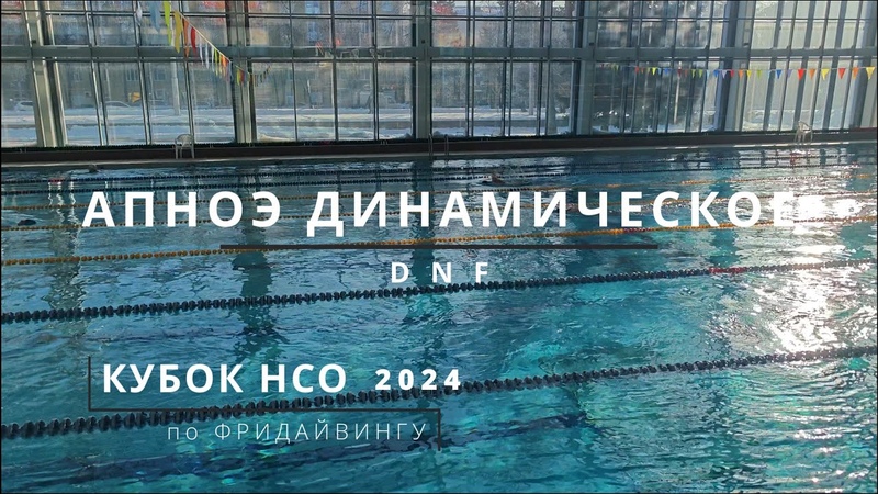 Кубок НСО по ФРИДАЙВИНГУ 2024