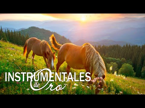 Instrumental De Oro Los Años 60 y 70 Para Relajarse Con La Guitarra Suave Melodias