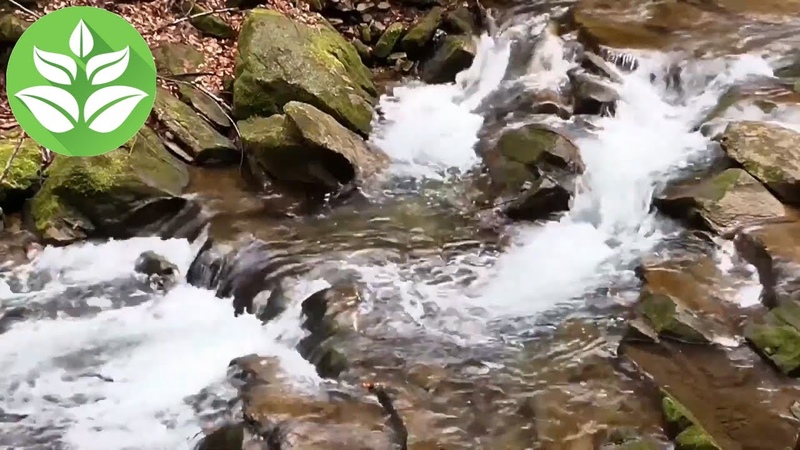 Mountain River Rapid Current, Rocks, Waterfall for sleep, relaxation,