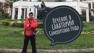 Самшитовая роща. Лечение в санатории.