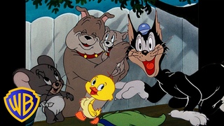 Tom und Jerry auf Deutsch 🇩🇪 | Die besten Nebencharaktere! 🐣🐶 | @WBKidsDeutschland​