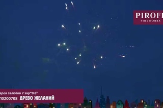 БСП0200708  ДРЕВО ЖЕЛАНИЙ