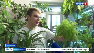 Более 2 тыс. экземпляров: челябинец собрал коллекцию экзотических растений в квартире