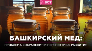 Башкирский мед: проблема сохранения и перспективы развития