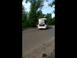 Спортивные сборы Джиу-джитсу , лагерь Онега.