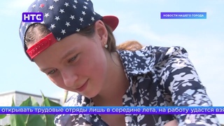 Летняя подработка детей в этом году началась позднее обычного