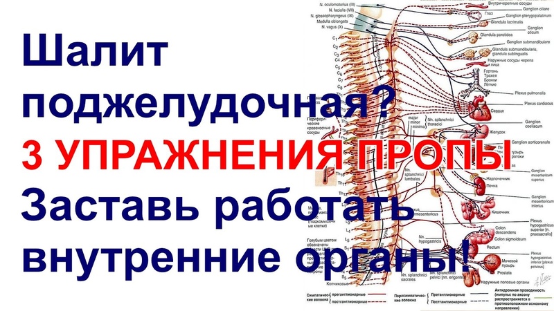 Шалит поджелудочная ТРИ упражнения Пропы заставят