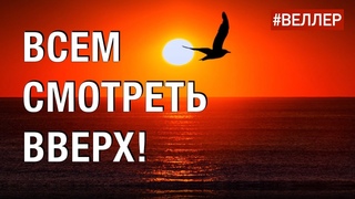 ВСЕМ  СМОТРЕТЬ  ВВЕРХ:  ОНО  ПРИБЛИЖАЕТСЯ! - #Веллер 11 02 2022