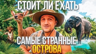 ОСТРОВ ОБЕЗЬЯН: СТОИТ ЛИ ЕХАТЬ? СКАЗОЧНЫЙ ОСТРОВ ОРХИДЕЙ. СЕВЕРНЫЕ ОСТРОВА В НЯЧАНГЕ, ВЬЕТНАМ.