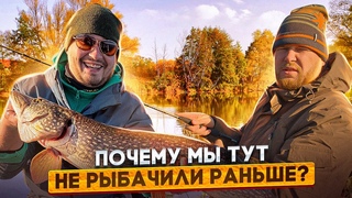 ПОЧЕМУ МЫ ТУТ НЕ РЫБАЧИЛИ РАНЬШЕ Рыбалка на Волге в Саратовской области