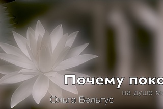 ПОЧЕМУ ПОКОЙ. Ольга Вельгус (2015)