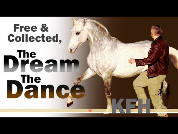 Hempfling When the Horse Seeks Us About KFH and his unique