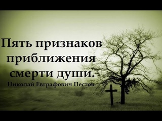 Когда пора бить тревогу. Пять признаков приближение духовной смерти. Пестов Н.Е.