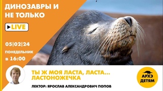 Занятие Ты ж моя ласта, ласталастоножечка! кружка Динозавры и не только с Ярославом Поповым