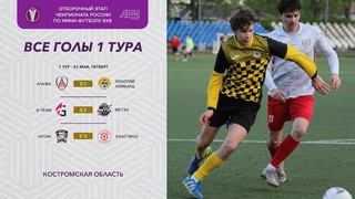 Все голы  - Отборочный этап Чемпионата России 8х8