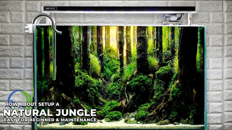 NATURAL JUNGLE STYLE