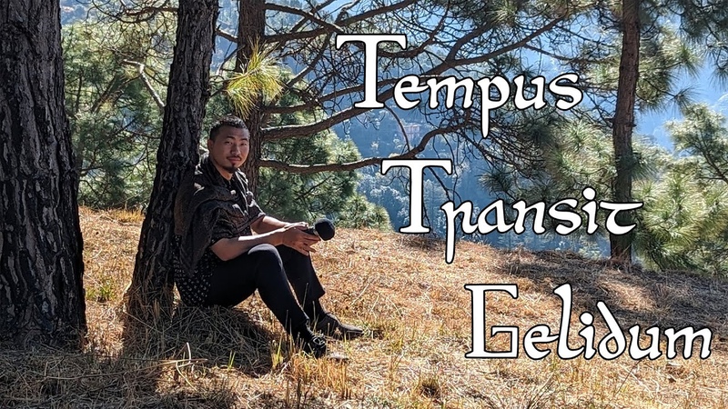 Carmina Burana Tempus Transit Gelidum (in the style of Ensemble für Frühe Musik