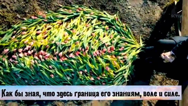 Если спросят
