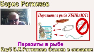 Борис Ратников.Паразиты в рыбе. Отрывок из онлайн семинара
