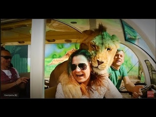 Лев накинулся на женщину и СТАЛ ОБНИМАТЬСЯ! The lion pounced on the woman and BEGAN TO HUG!