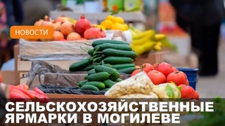 Где купить домашние овощи // Сельскохозяйственные ярмарки еженедельно проводятся в Могилеве