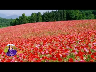 АВТОР 👑ГӨЛНУР ГАЛИМОВА👑 👒💎КАЙТАВАЗЛАР💎👒 ПРОЕКТ “ЖЫРЛЫ ЯЗМЫШ“ 💟