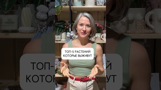 ТОП-5 ЖИВУЧИХ РАСТЕНИЙ / минимум ухода, максимум декоративности
