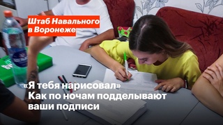 Как помощник депутата Госдумы Андрея Маркова помогал рисовать подписи