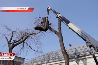 ОБРЕЗАТЬ ПОЛ-ГОРОДА. ВСЁ О РАСПИЛАХ В УЛЬЯНОВСКЕ.