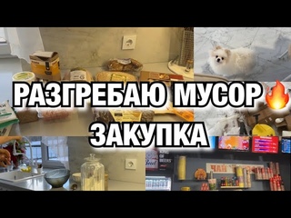 ЗИМНИЙ ВЛОГ! РАЗГРЕБАЮ МУСОР! ЗАКУПКА ПРОДУКТОВ! МОЙ ЗАВТРАК ! Будни Мамы Влог