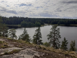 гвардейское выборг. лесная сказка ленинградская область. озеро лесное поселок лесной свердловская. лемболово озеро. озера большое лесное.