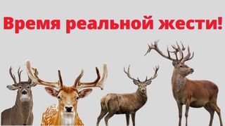 ТАКОГО российские мужчины еще не видели