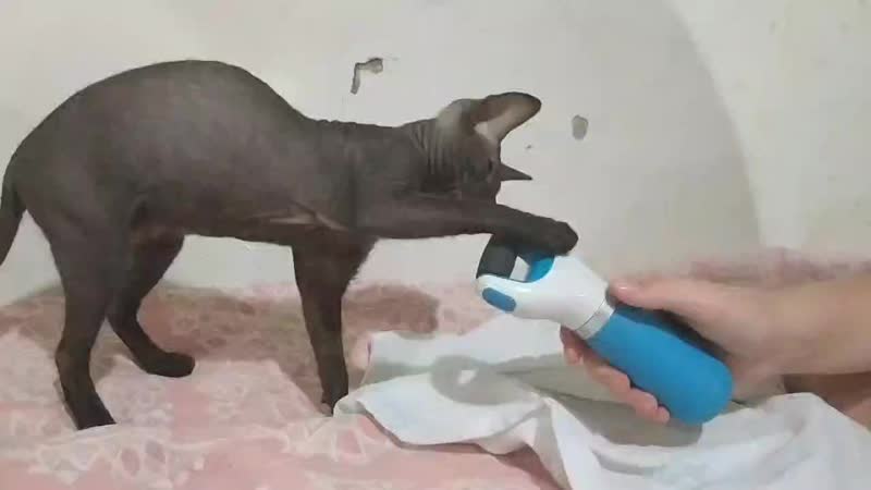 VID_20201008_203018.mp4