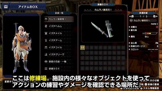 Monster Hunter Rise training area