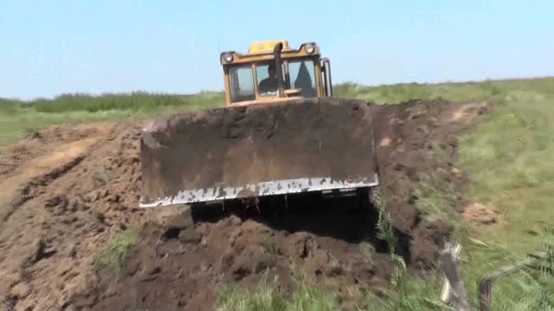 Лагерный пруд. Потеряевка. август,