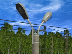 TSW-Fon-bet-11-hotn-2Y180